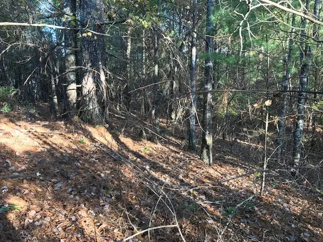 19d&E Braves Landing, Murphy, NC 28906 - #2
