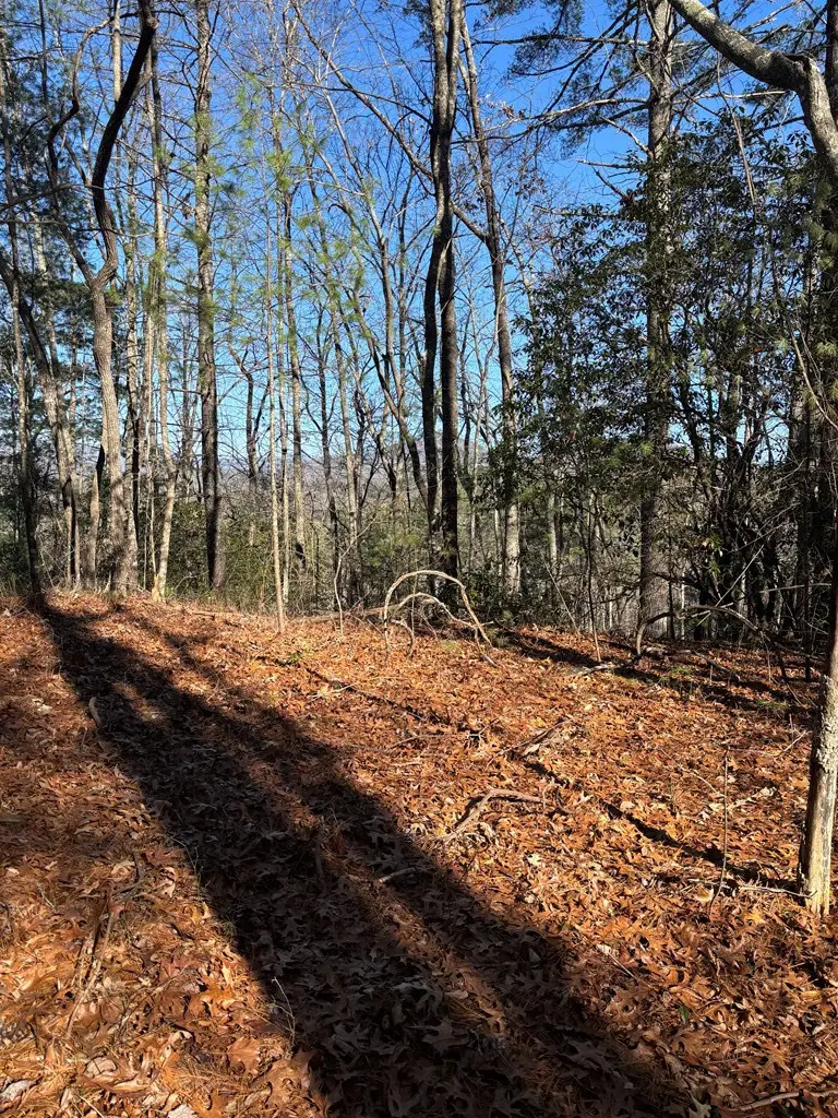 Lot 61 Thundering Hill, Murphy, NC 28906 - #2