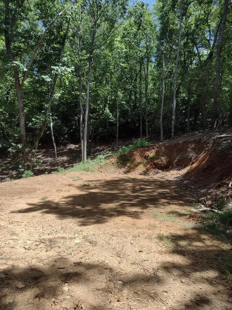 20 Radiant Cove, Brasstown, NC 28902 - #1
