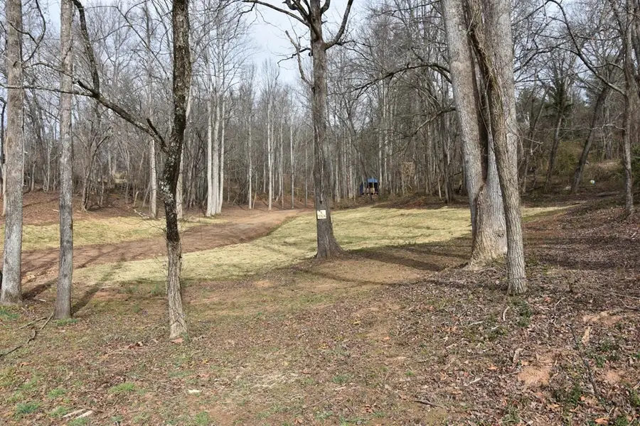 167 Swaims, Hayesville, NC 28904 - #3