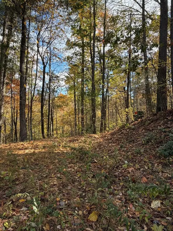 47/48 Little Secret Lane, Murphy, NC 28906