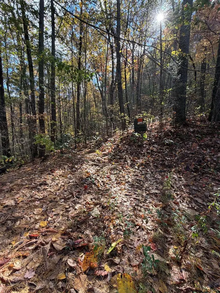 47/48 Little Secret Lane, Murphy, NC 28906 - #2