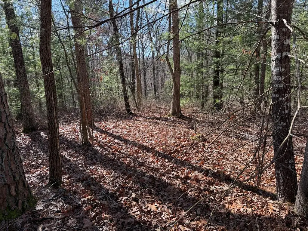 Lot #43 Laurel Drive, Murphy, NC 28906 - #1