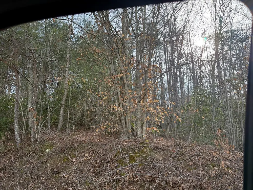0 Paradise Street, Murphy, NC 28906 - #1