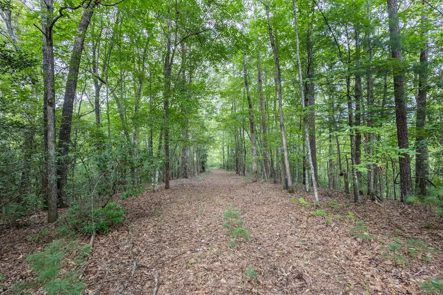 Lot 26 Persimmon Road, Murphy, NC 28906 - #2