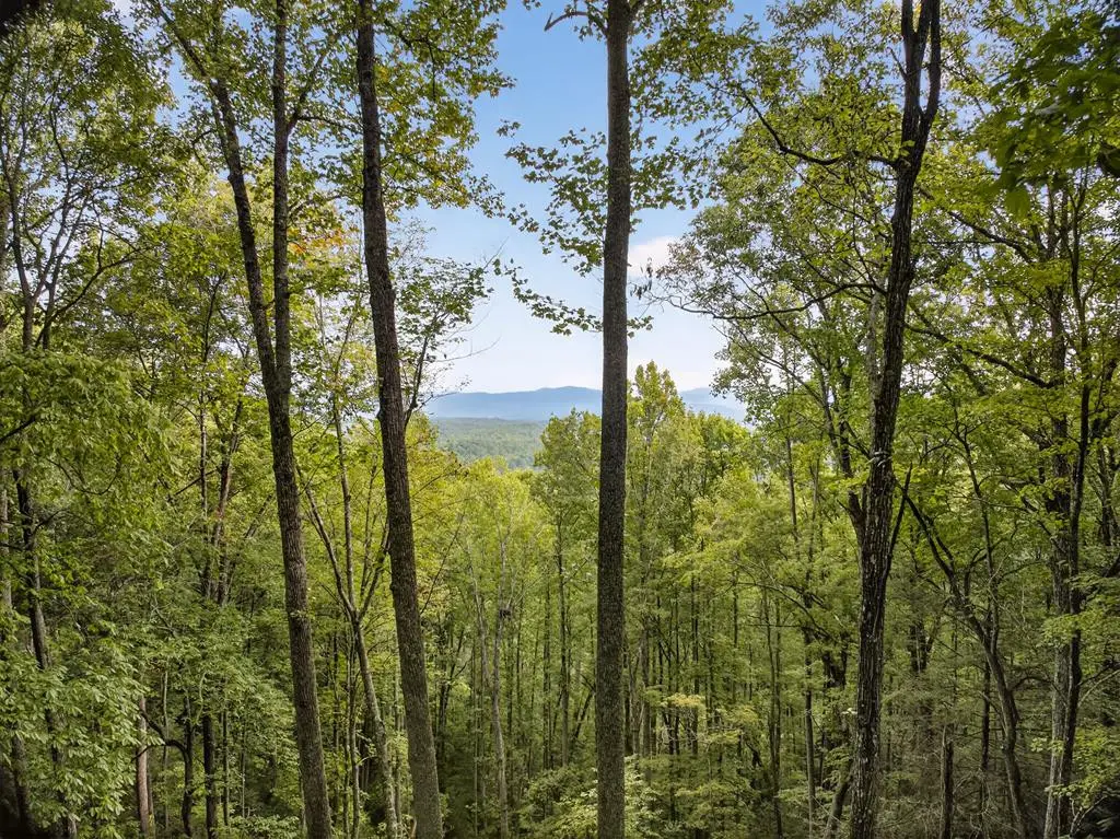 00 Hayden Lane, Murphy, NC 28906 - #1