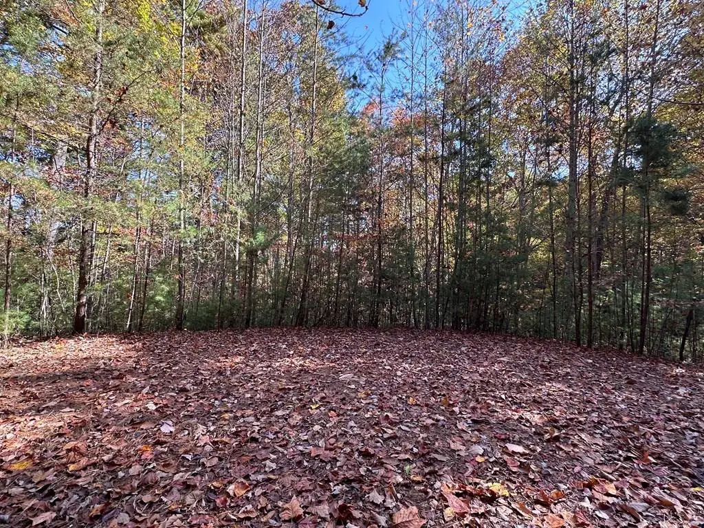 Lot 5&8 Indian Rock Springs Subdivisio, Murphy, NC 28906 - #1
