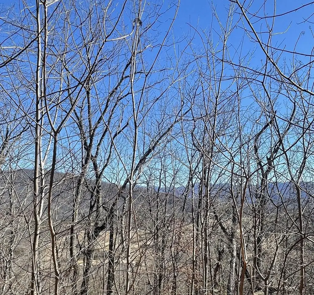 60 & 61J Mountain Harbour, Hayesville, NC 28904 - #1