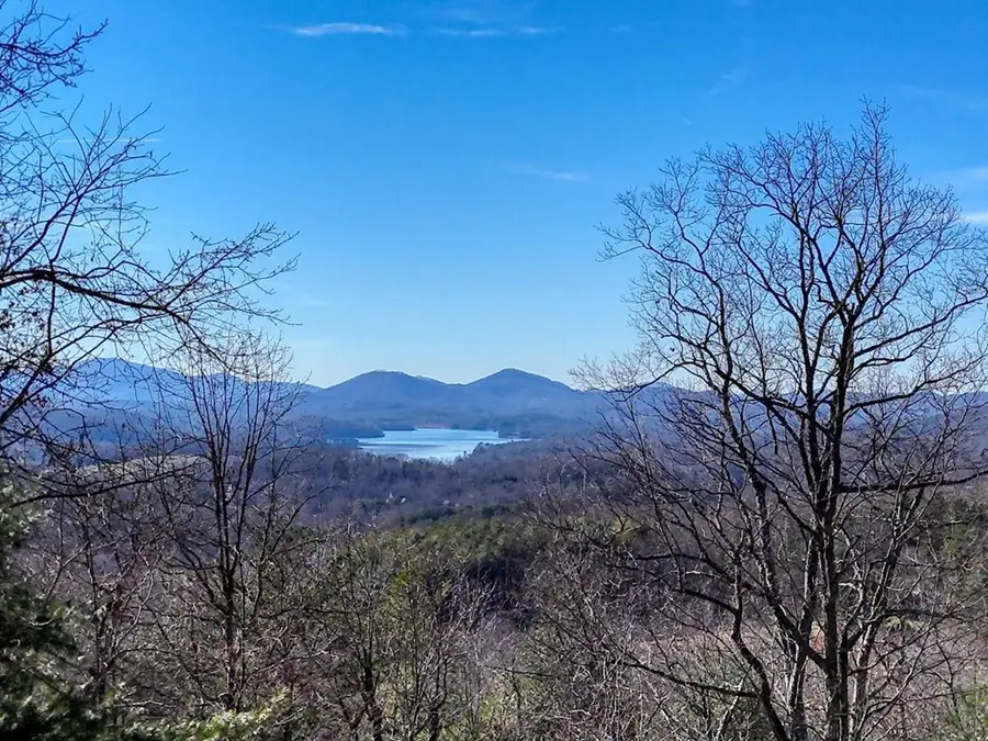 417 Hidden Forest Lane, Hayesville, NC 28904 - #2
