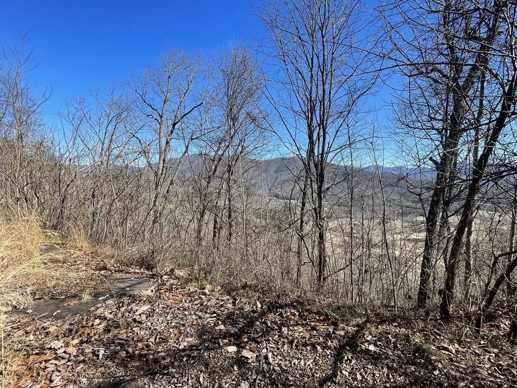 Lot  47J Grandview Drive, Hayesville, NC 28904 - #1