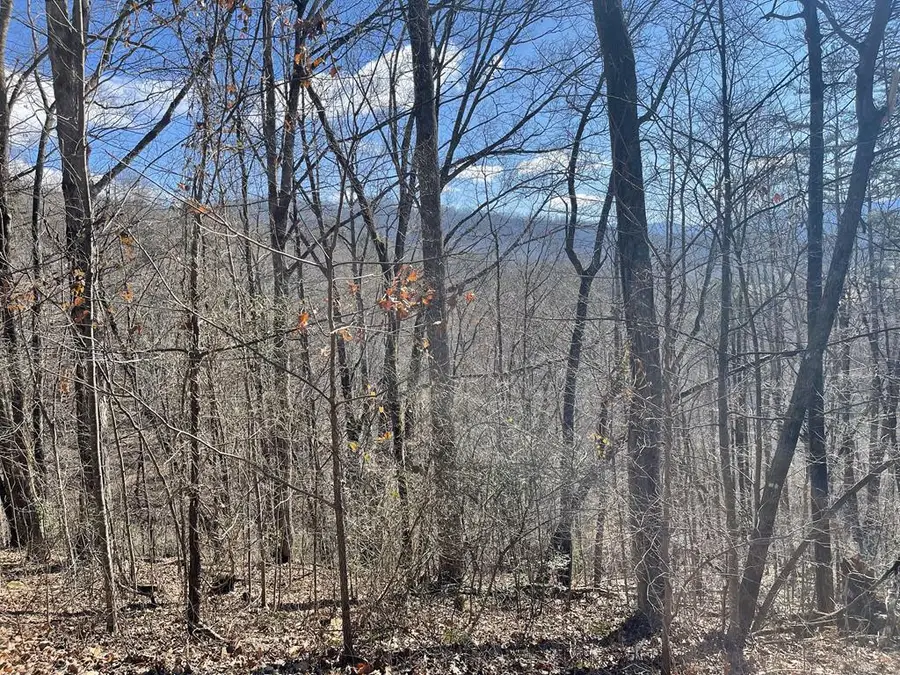 Lot  47J Grandview Drive, Hayesville, NC 28904 - #2