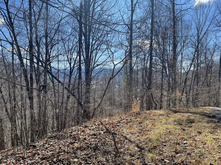 Lot  47J Grandview Drive, Hayesville, NC 28904 - #3