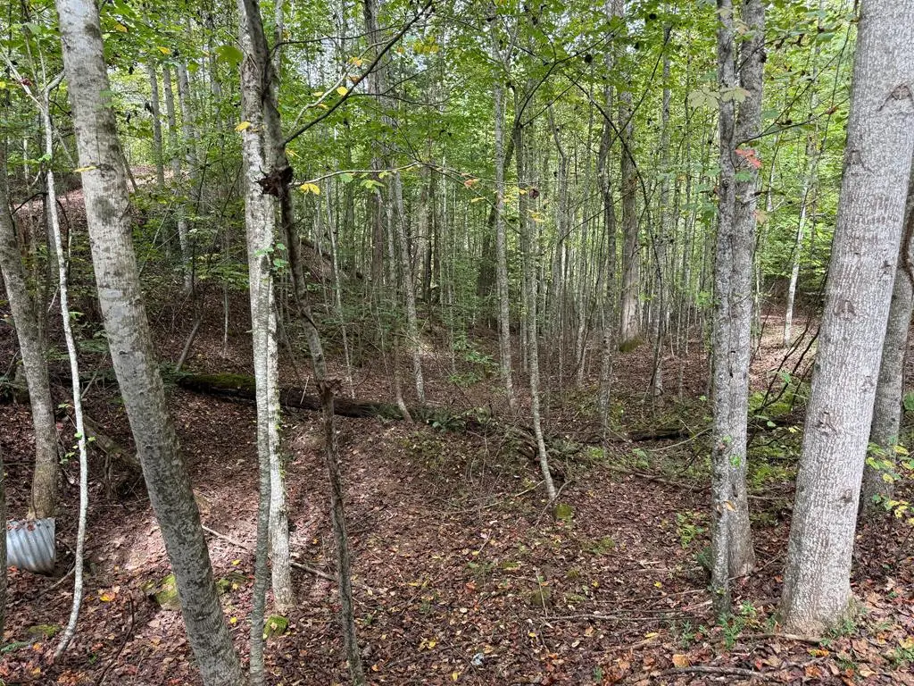 0 Reserve Estates, Murphy, NC 28906 - #1