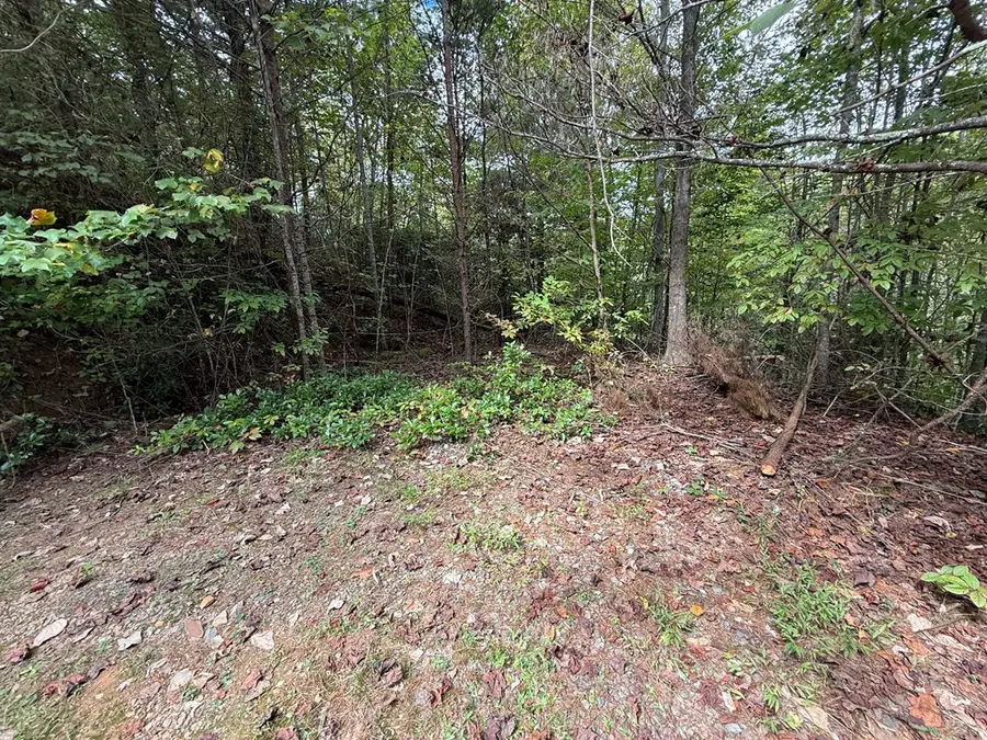 0 Reserve Estates, Murphy, NC 28906 - #3