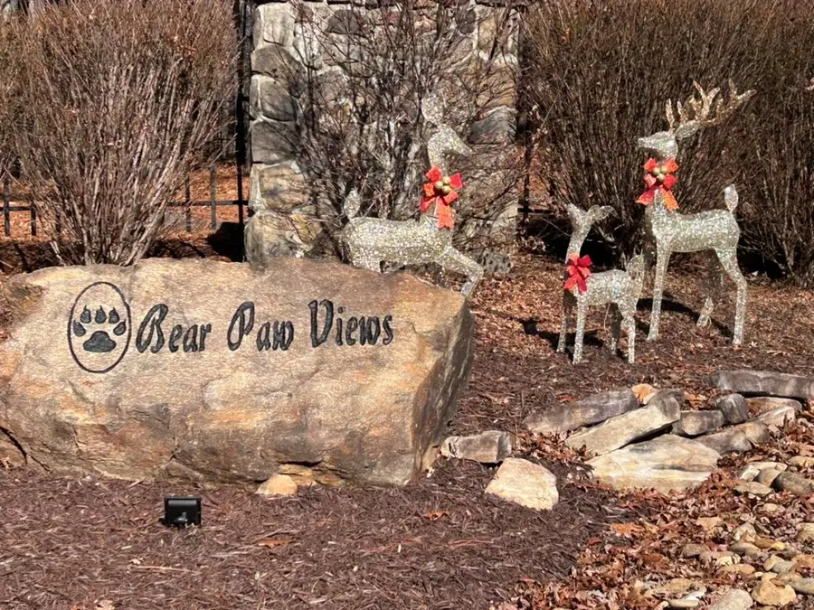 865 Dasali Way, Murphy, NC 28906 - #2