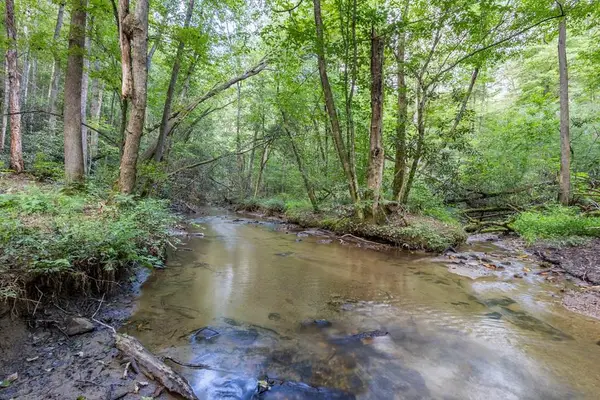 23.59 AC Chestnut Flats Road, Andrews, NC 28901