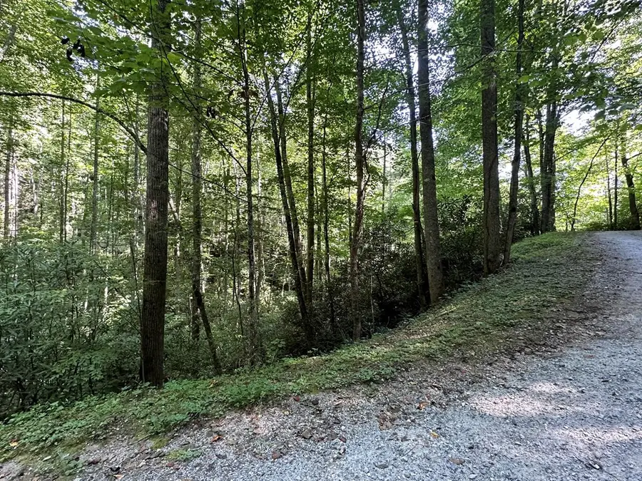 00 Briggs Cove Road, Robbinsville, NC 28771 - #2