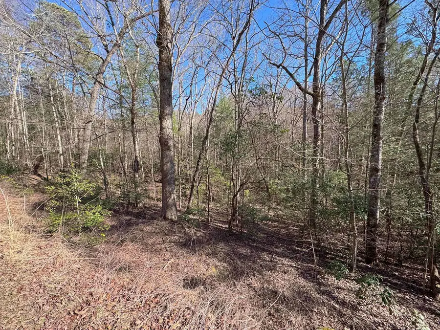 LOT 34B Snowbird Trail, Marble, NC 28905 - #2