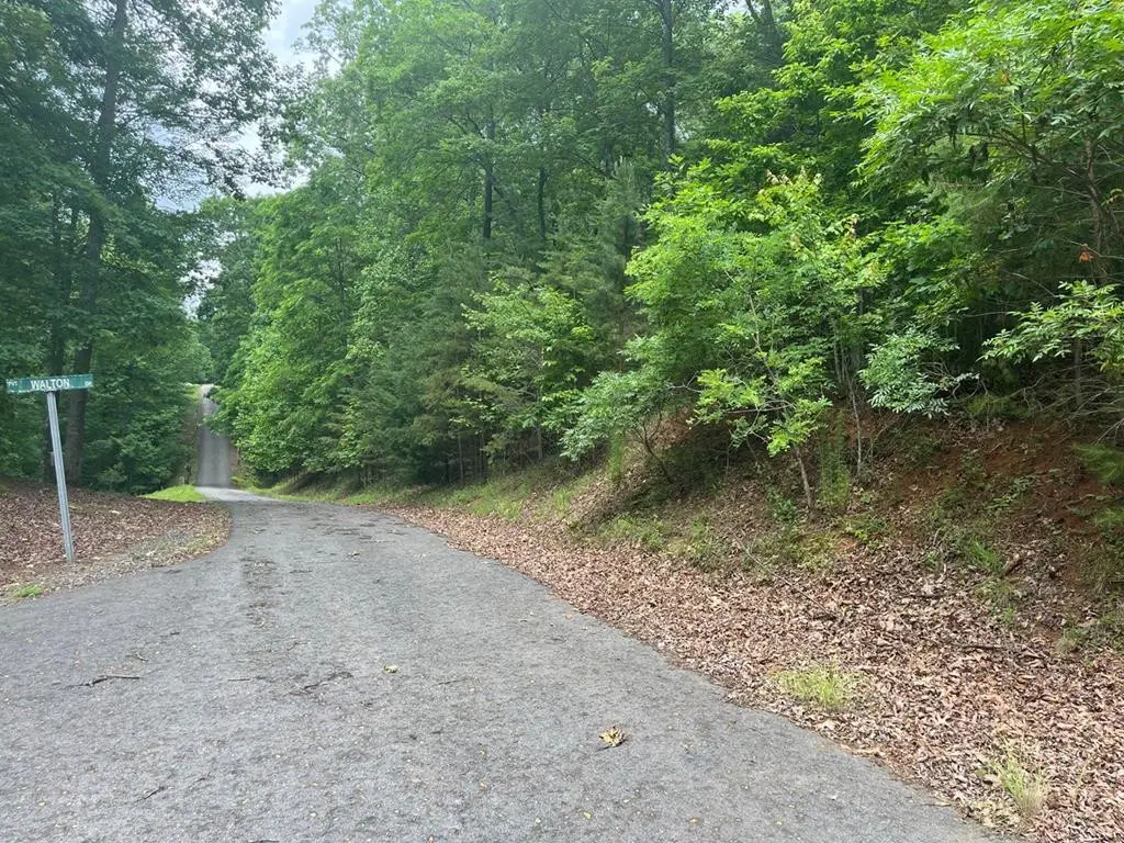 lot 63 Cirrus Drive, Murphy, NC 28906 - #1