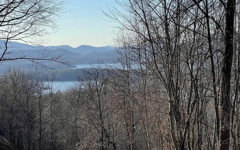 Lot 63 Dan Knob, Hayesville, NC 28904 - #1