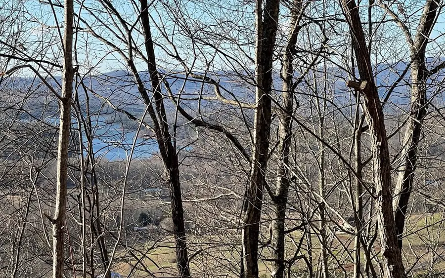Lot 63 Dan Knob, Hayesville, NC 28904 - #2