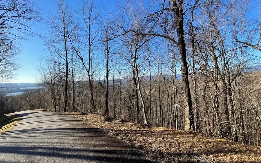 Lot 63 Dan Knob, Hayesville, NC 28904 - #3