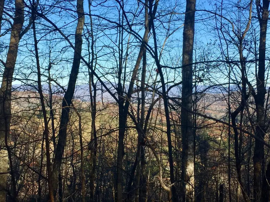 Address Withheld By Seller, Warne, NC 28909 - #1