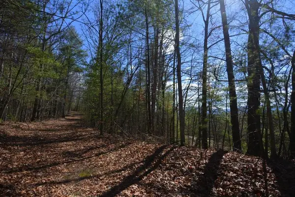 51-53 Hickory Lane, Robbinsville, NC 28771