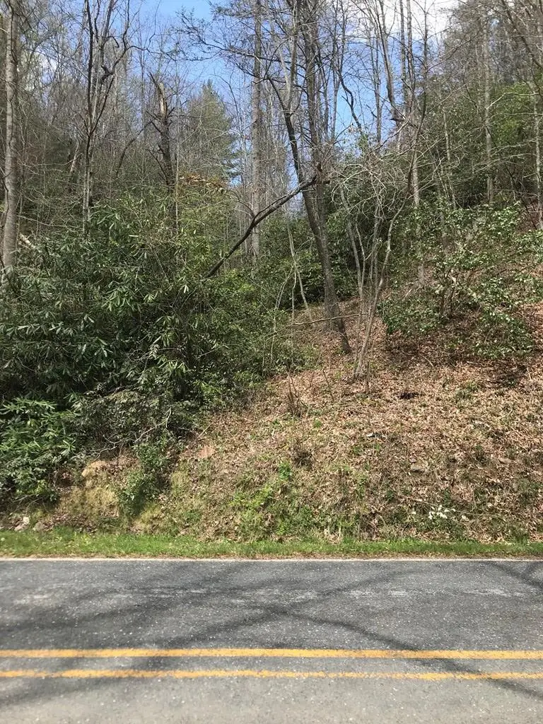 604 Upper Sawyers Creek, Robbinsville, NC 28771 - #3