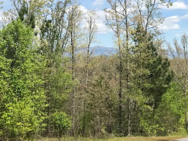 Lot 29 Brasstown View Road, Murphy, NC 28906