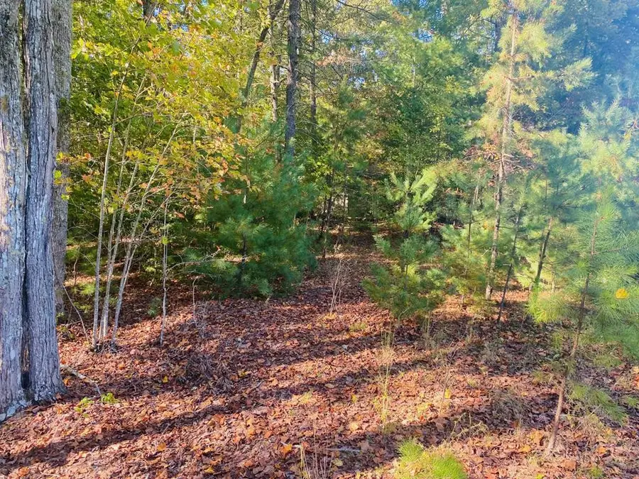 Lot 34 Point Overlook Trail, Murphy, NC 28906 - #2