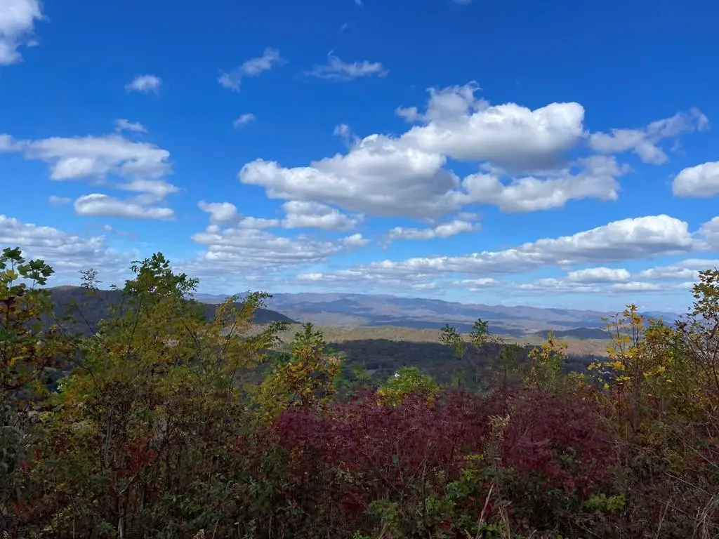 0 Brasstown Heights, Brasstown, NC 28902 - #1
