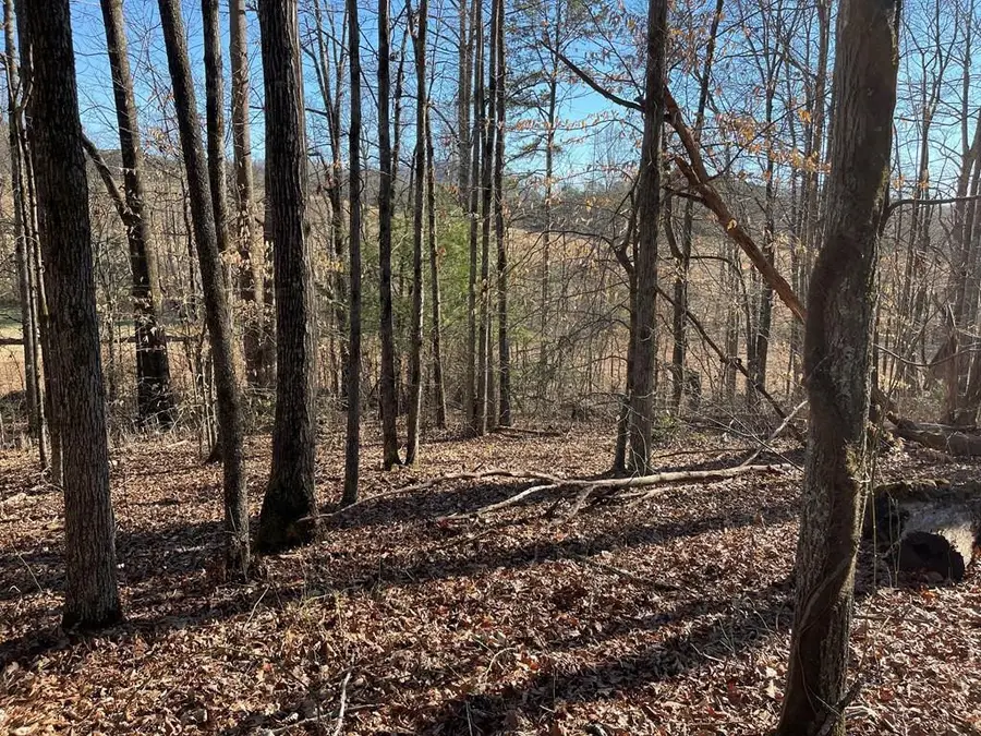 Lot #12E The Woodlands, Hayesville, NC 28904 - #2