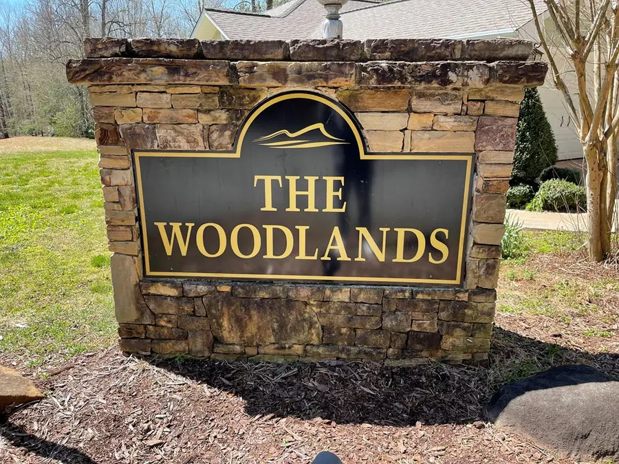 Lot #12E The Woodlands, Hayesville, NC 28904 - #3