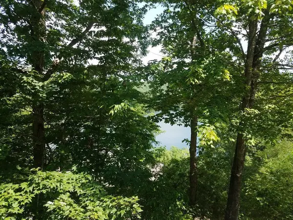 Lot 43 Kestrel Ridge Circle, Murphy, NC 28906