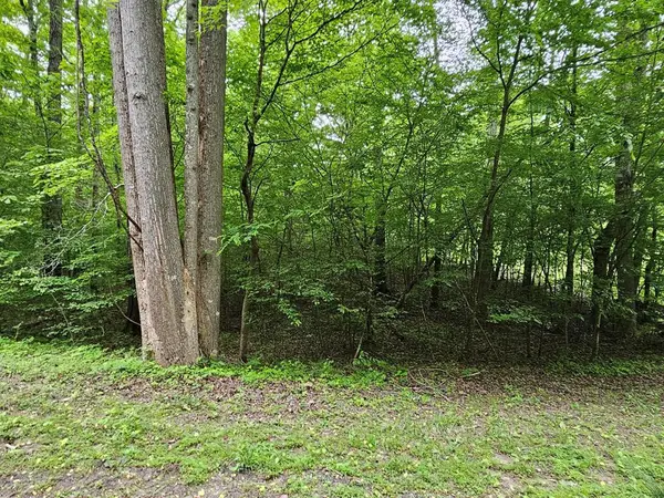 17 Lonesome Pine, Murphy, NC 28906