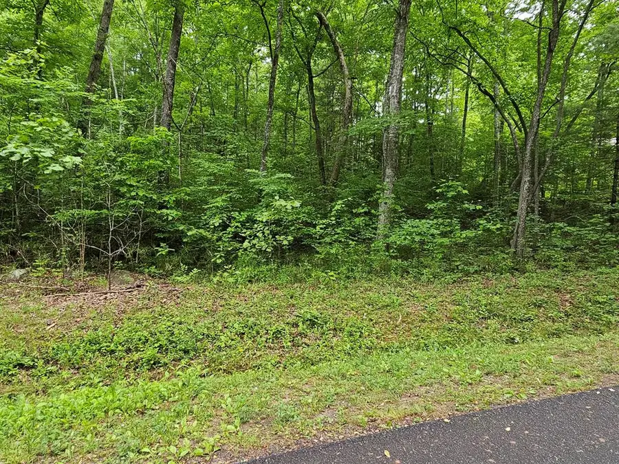 17 Lonesome Pine, Murphy, NC 28906 - #2