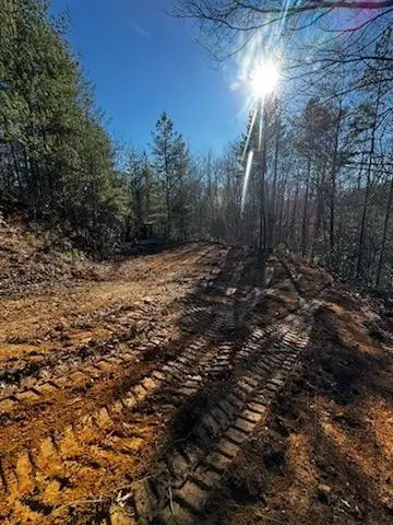 Lot 16 Paradise, Marble, NC 28905 - #1