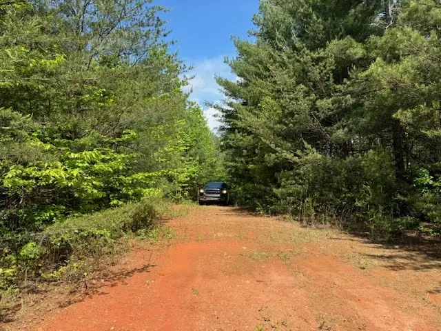 Lot 9 Paradise, Marble, NC 28905 - #2