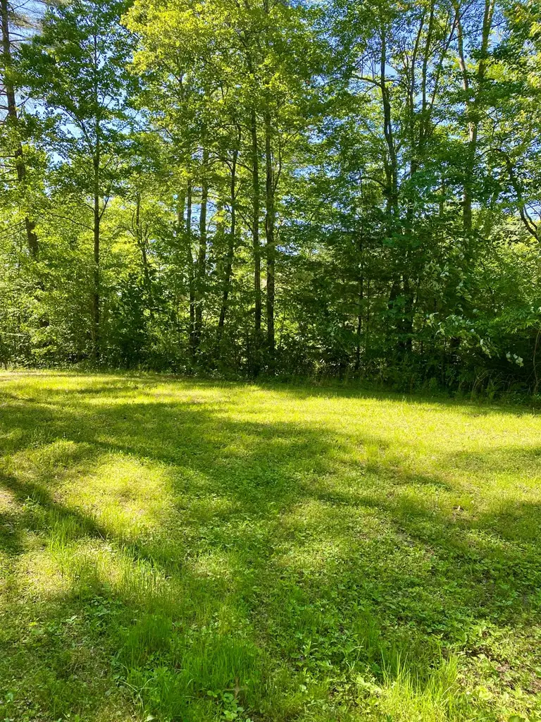00 Deer Run, Robbinsville, NC 28771 - #3
