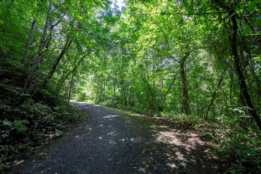 0 E Buffalo, Robbinsville, NC 28771 - #1