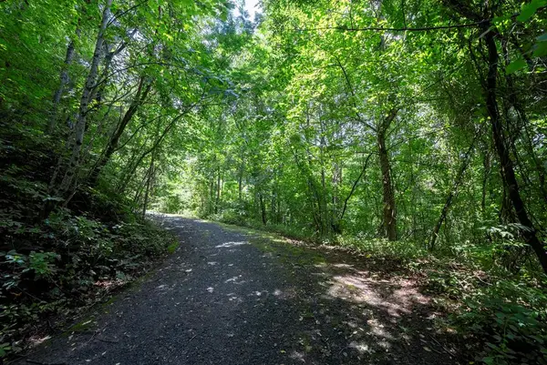 0 E Buffalo, Robbinsville, NC 28771