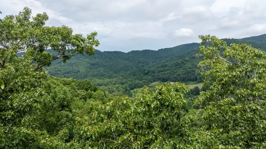 0 E Buffalo, Robbinsville, NC 28771 - #2