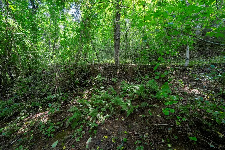 0 E Buffalo, Robbinsville, NC 28771 - #3