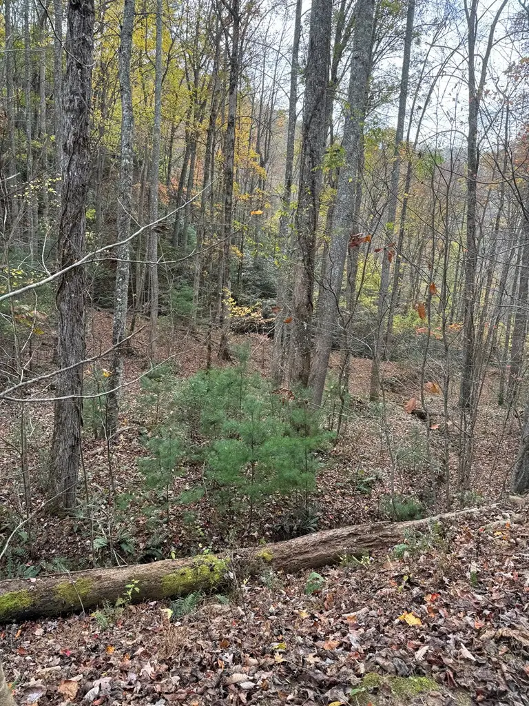 00 Heritage Trail, Murphy, NC 28906 - #2