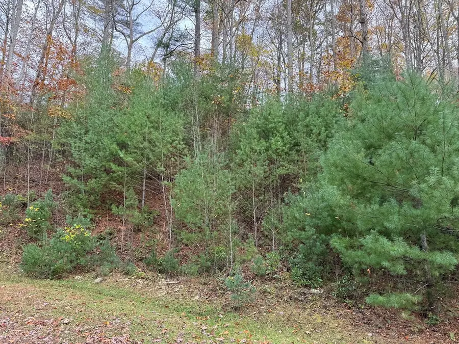 00 Heritage Trail, Murphy, NC 28906 - #3