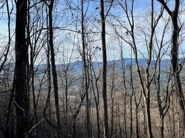 Lot 73 Hidden Treasure, Murphy, NC 28906 - #1