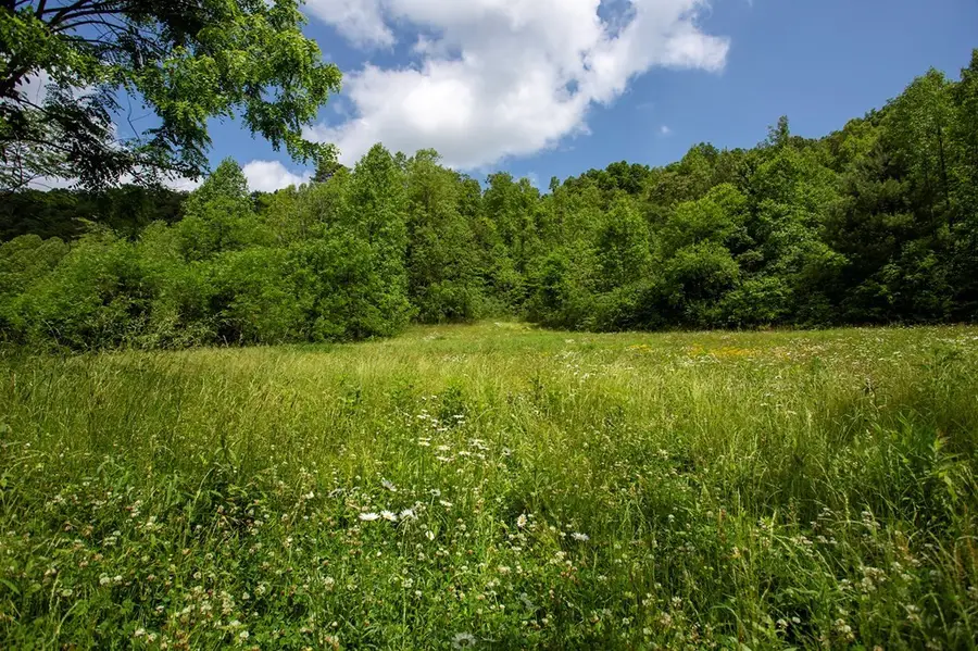 00 Peterson Road, Robbinsville, NC 28771 - #3