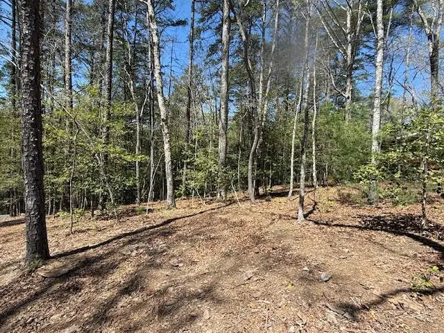 Lot 2 Lynae Lane, Murphy, NC 28906 - #1