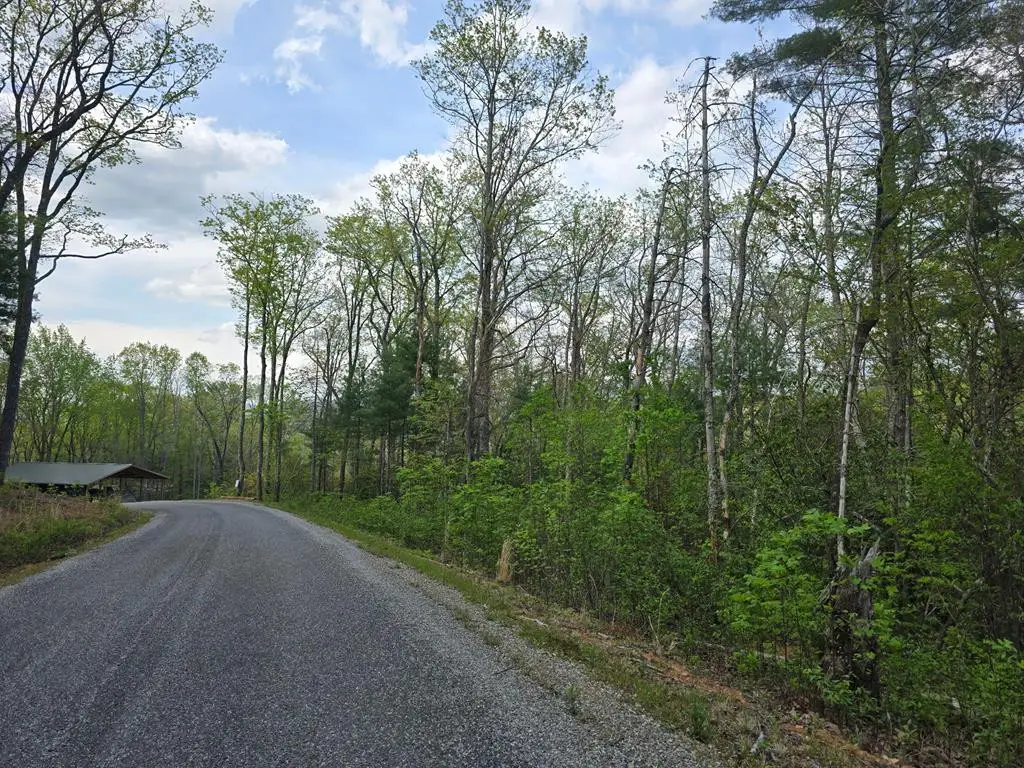 Lot 10 Kennedys Court, Blairsville, GA 30512 - #1